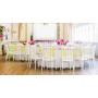 Стул банкетный, свадебный Siesta 061 Opera Clear Transparent
