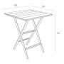 Комплект Стол Siesta складной 292 Helen 60 и стулья складные Siesta 290 Helen Folding 2шт.