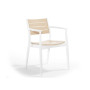 Кресло NOVUSSI REGNUM из высококачественного пластика NVS005 cappuccino-brown